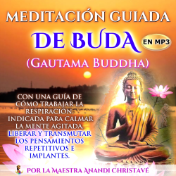 "LA MEDITACIÓN DE BUDHA"