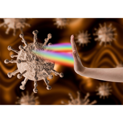 DECRETO PARA EL CORONAVIRUS