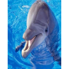DECRETO ENERGÍA DE LOS DELFINES: PARA CONECTAR CON LA PUREZA DEL CORAZÓN