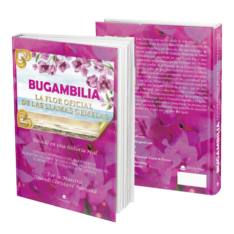 "BUGAMBILIA, LA FLOR OFICIAL DE LAS LLAMAS GEMELAS"