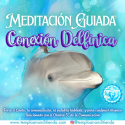 MEDITACIÓN GUIADA CONEXIÓN DELFÍNICA
