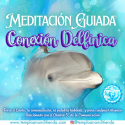 MEDITACIÓN GUIADA CONEXIÓN DELFÍNICA