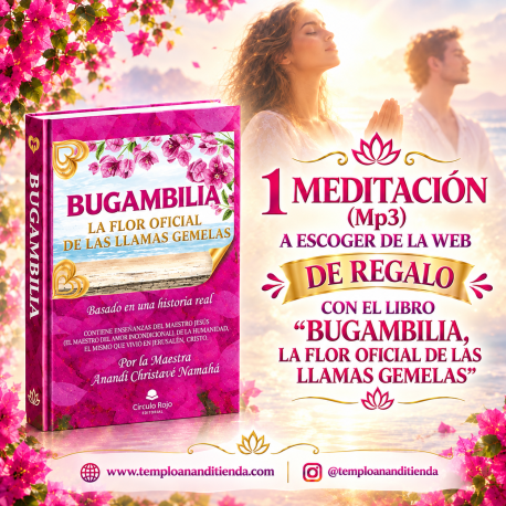 OFERTA ESPECIAL "BUGAMBILIA, LA FLOR OFICIAL DE LAS LLAMAS GEMELAS"