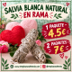 SALVIA NATURAL EN RAMA