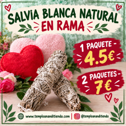 SALVIA NATURAL EN RAMA